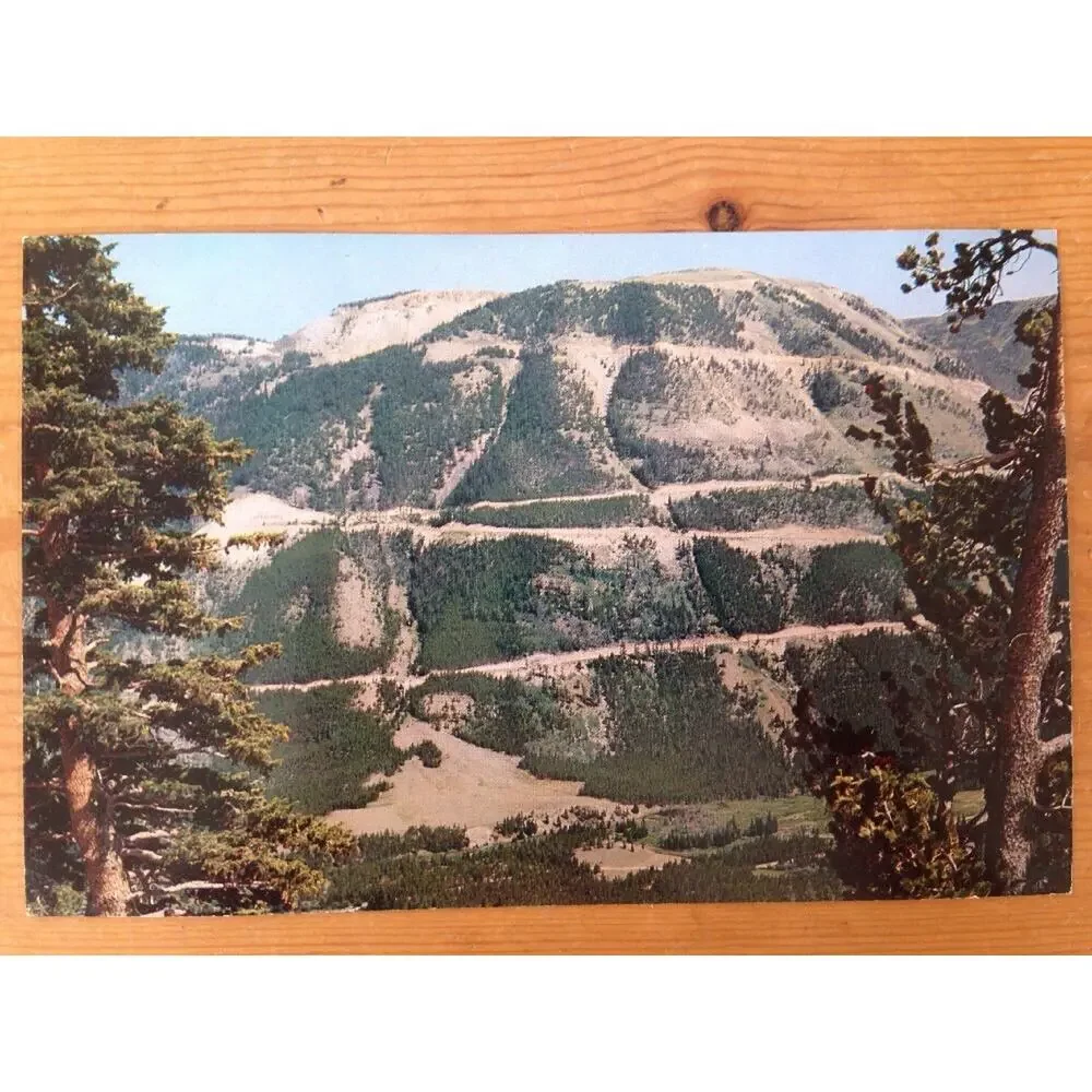 Vintage 1955 Montana Beartooth Mountains Yellowstone Park Color Tinted Postcard